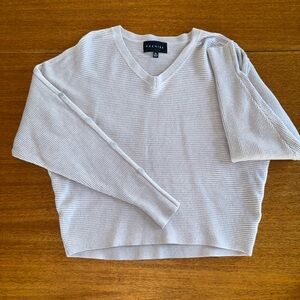 Premise Women's V-Neck Sweater in Light Gray